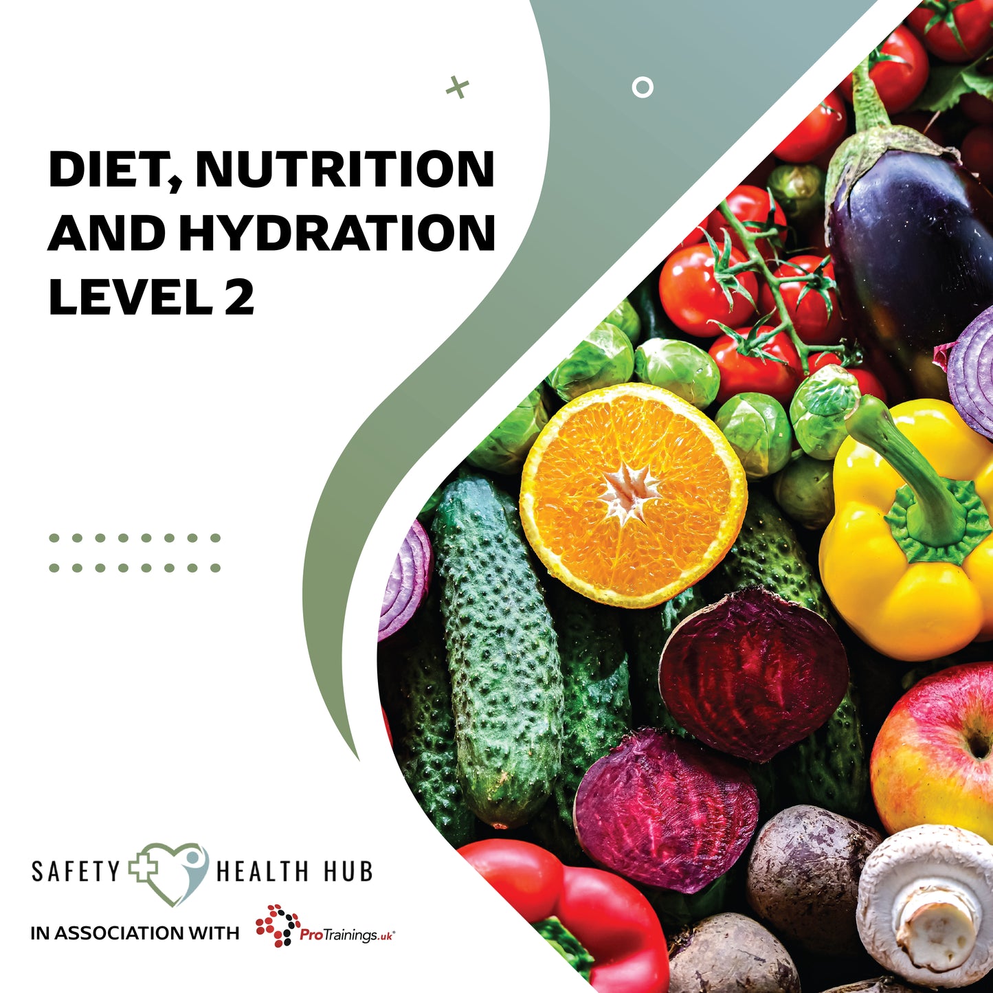 Book cover for 'Diet, Nutrition and Hydration Level 2' by Safety Health Hub with colorful vegetables and fruits.
