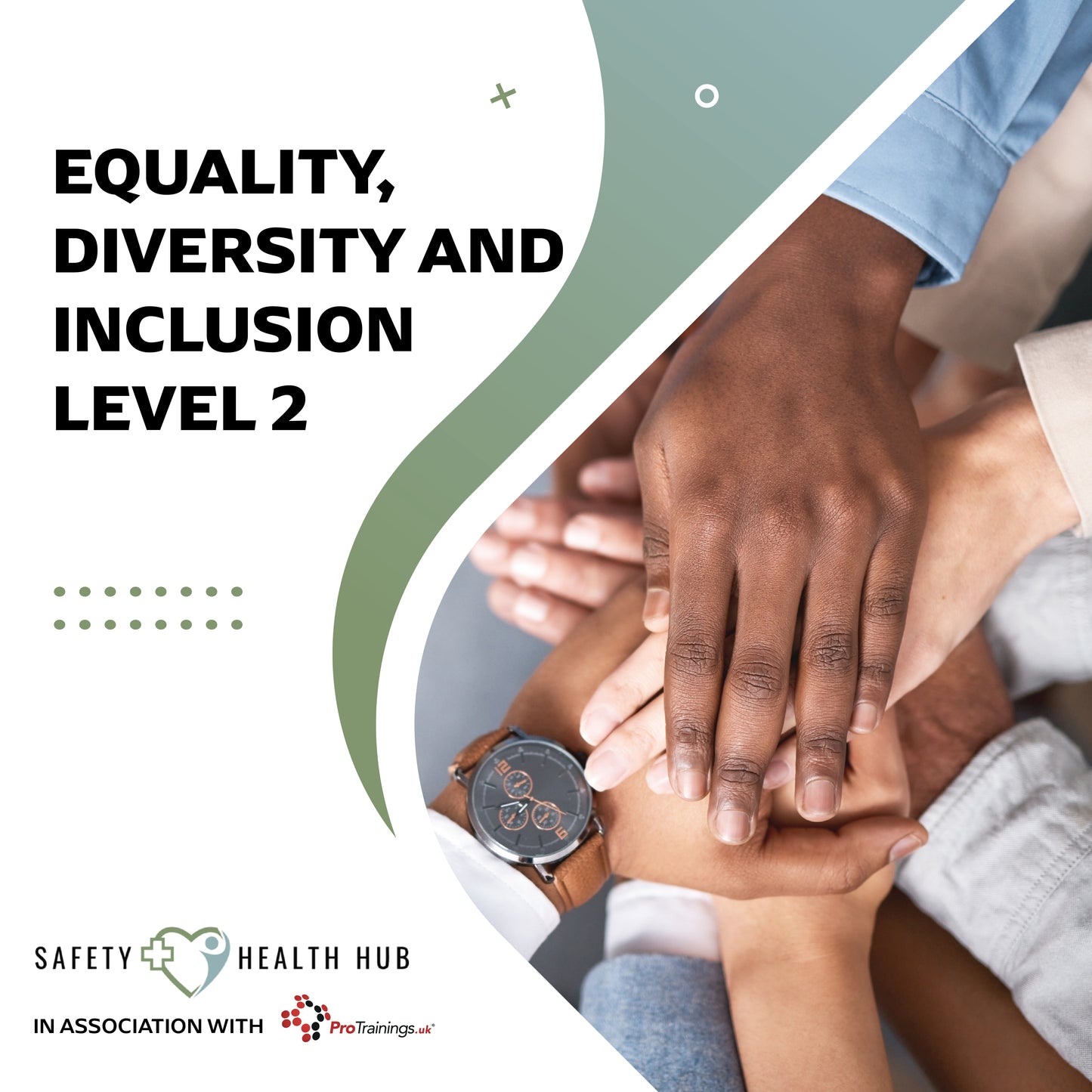 Hands of different skin tones held together with 'Equality, Diversity and Inclusion Level 2' text and Safety Health Hub logo.