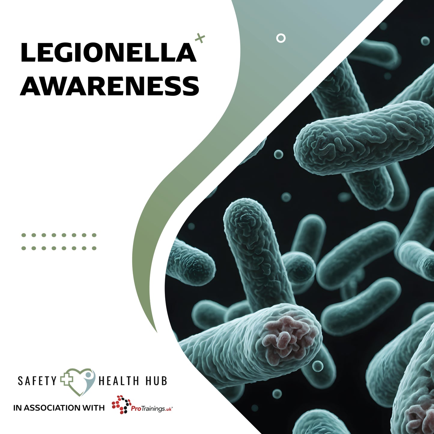 The Legionella Awareness Course is designed for employers and staff who need to understand the risks posed by Legionella bacteria and how to manage them effectively.