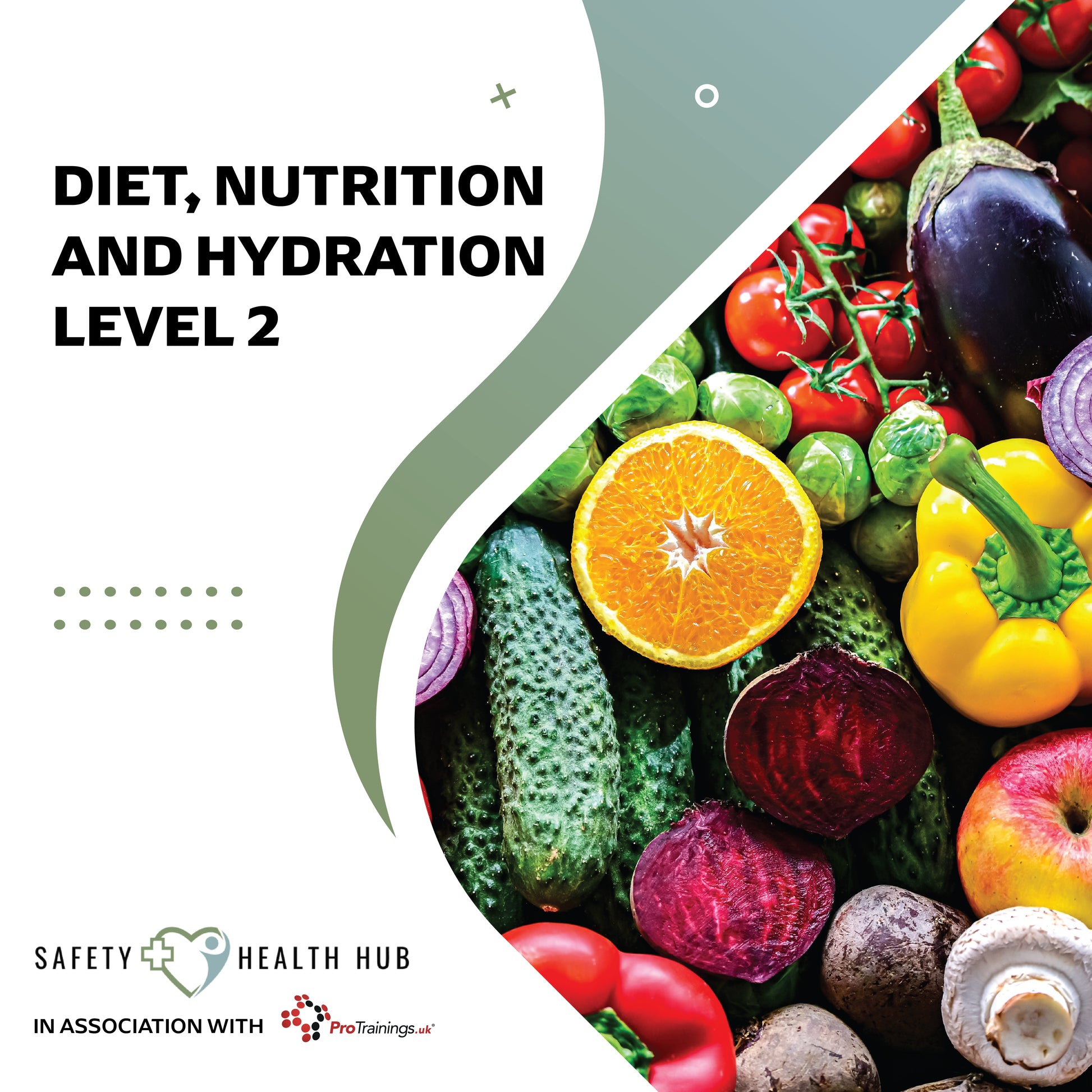 Book cover for 'Diet, Nutrition and Hydration Level 2' by Safety Health Hub with colorful vegetables and fruits.