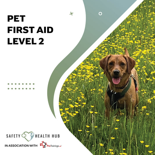Dog in a field of yellow flowers with 'Pet First Aid Level 2' text and Safety Health Hub logo.